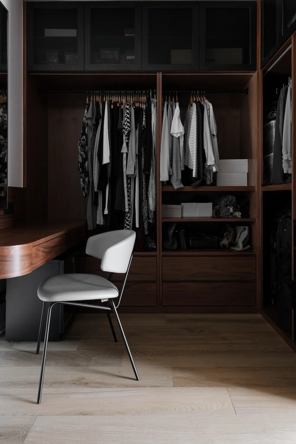 closet in contemporary interior design style