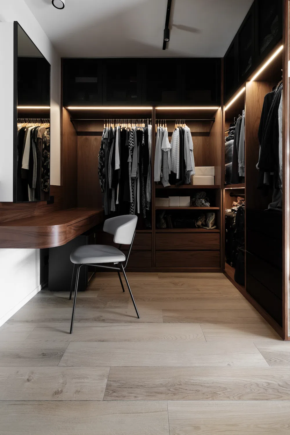 closet in contemporary interior design style